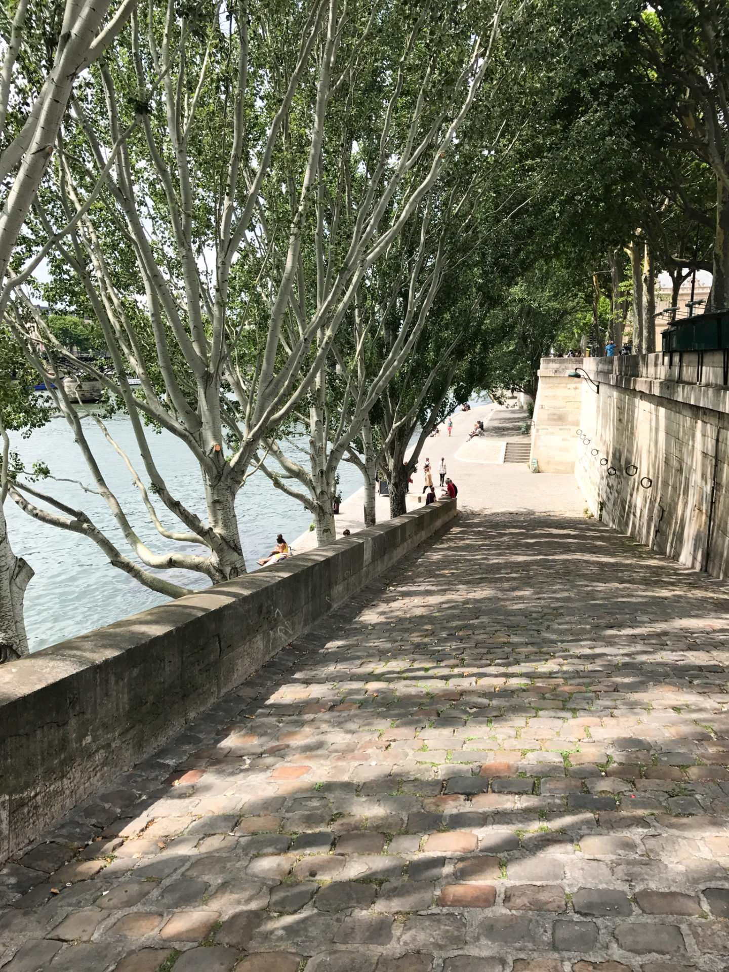 Walks Along the Seine