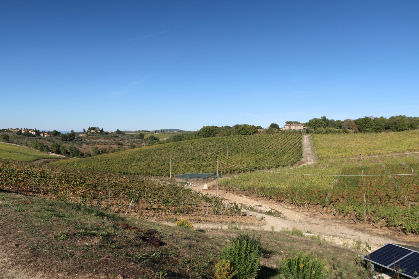 Tuscan Wine Tour Casa Emma