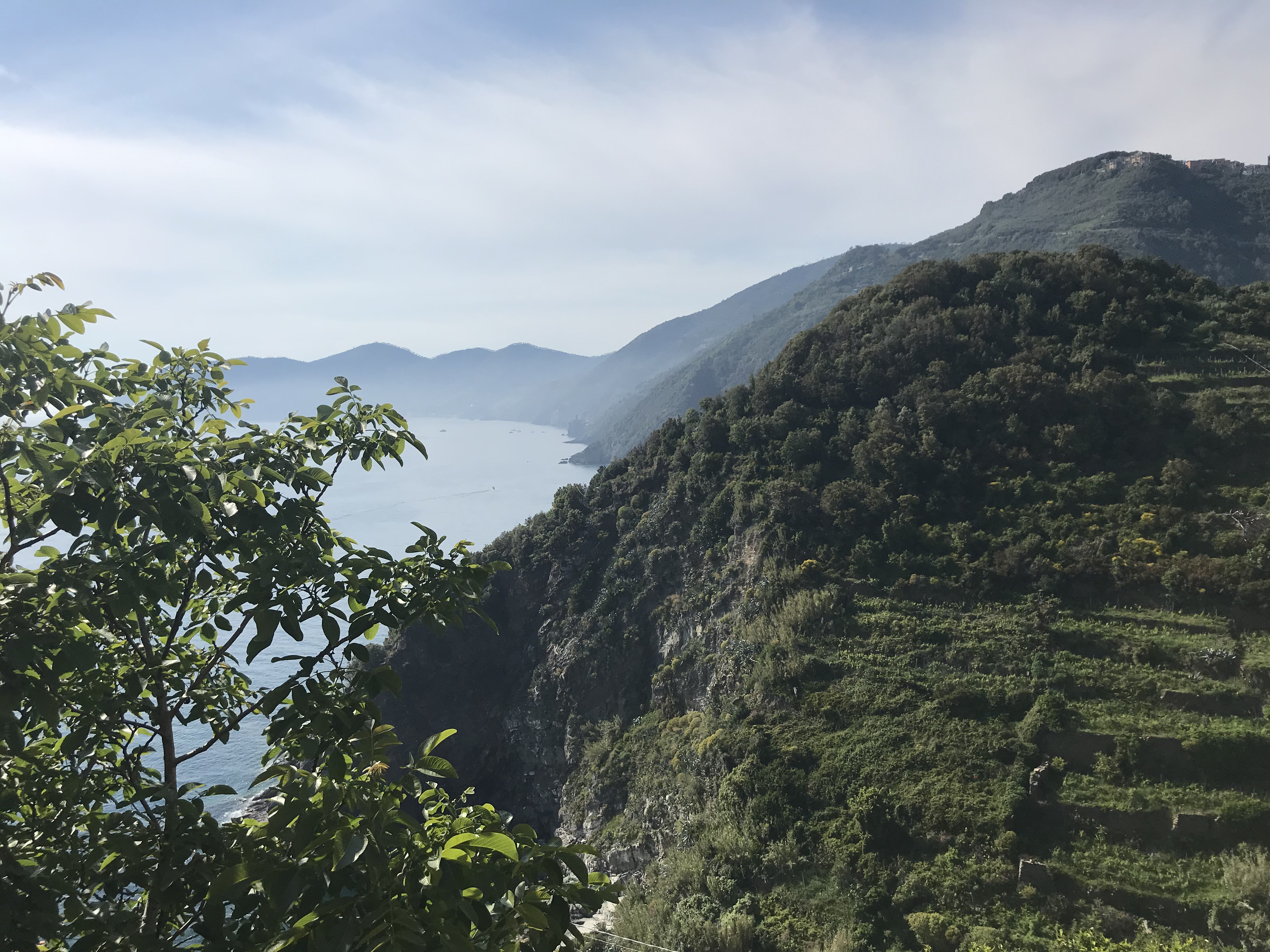 Terraces of Cinque Terre Travel